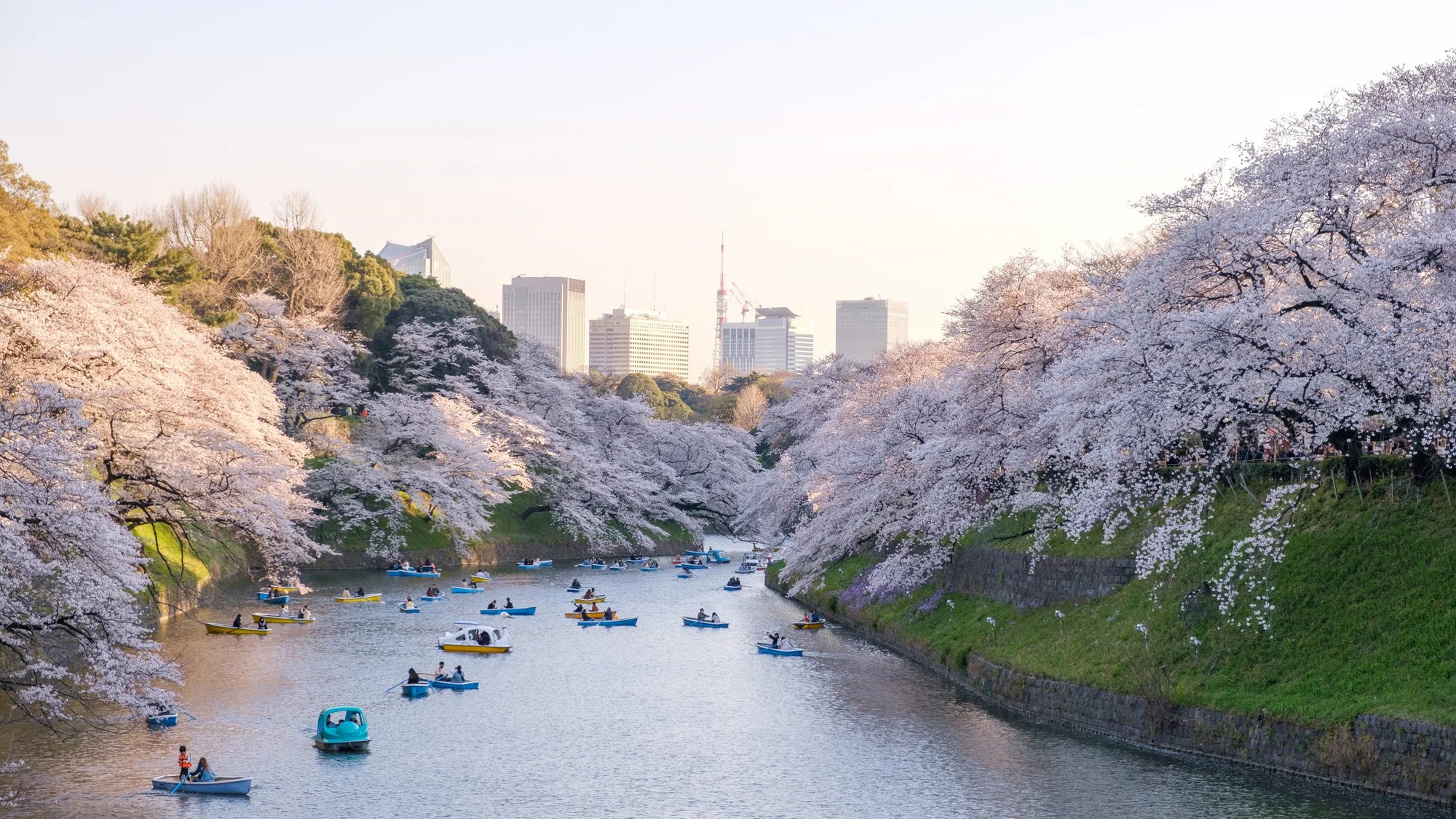 Japan October 24, 25, 26.